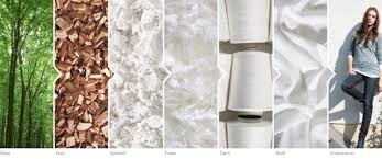 Kreislauf Herstellung Tencel